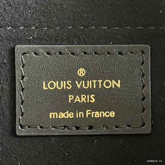 WIS SPEEDY 20 BANDOULIÈRE LOUIS VUITTON 0227